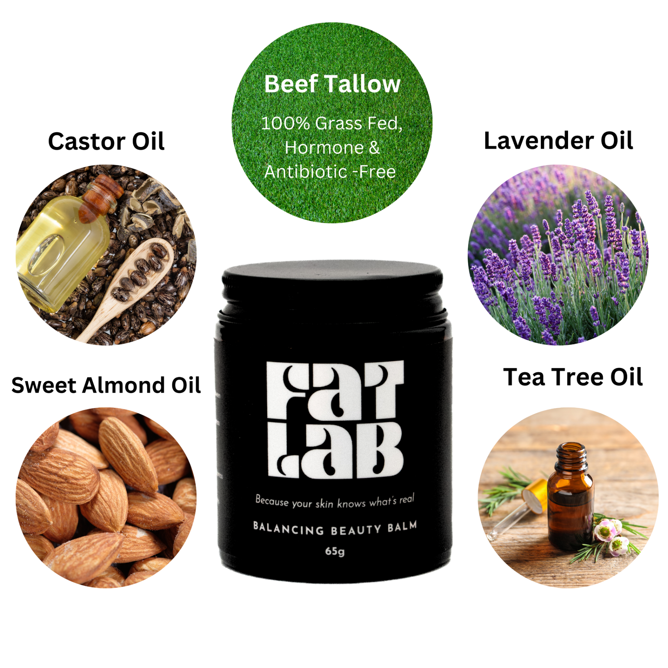 Black jar of 'Fat Lab' balm with images of ingredients like beef tallow, lavender, sweet almond, and tea tree oil.