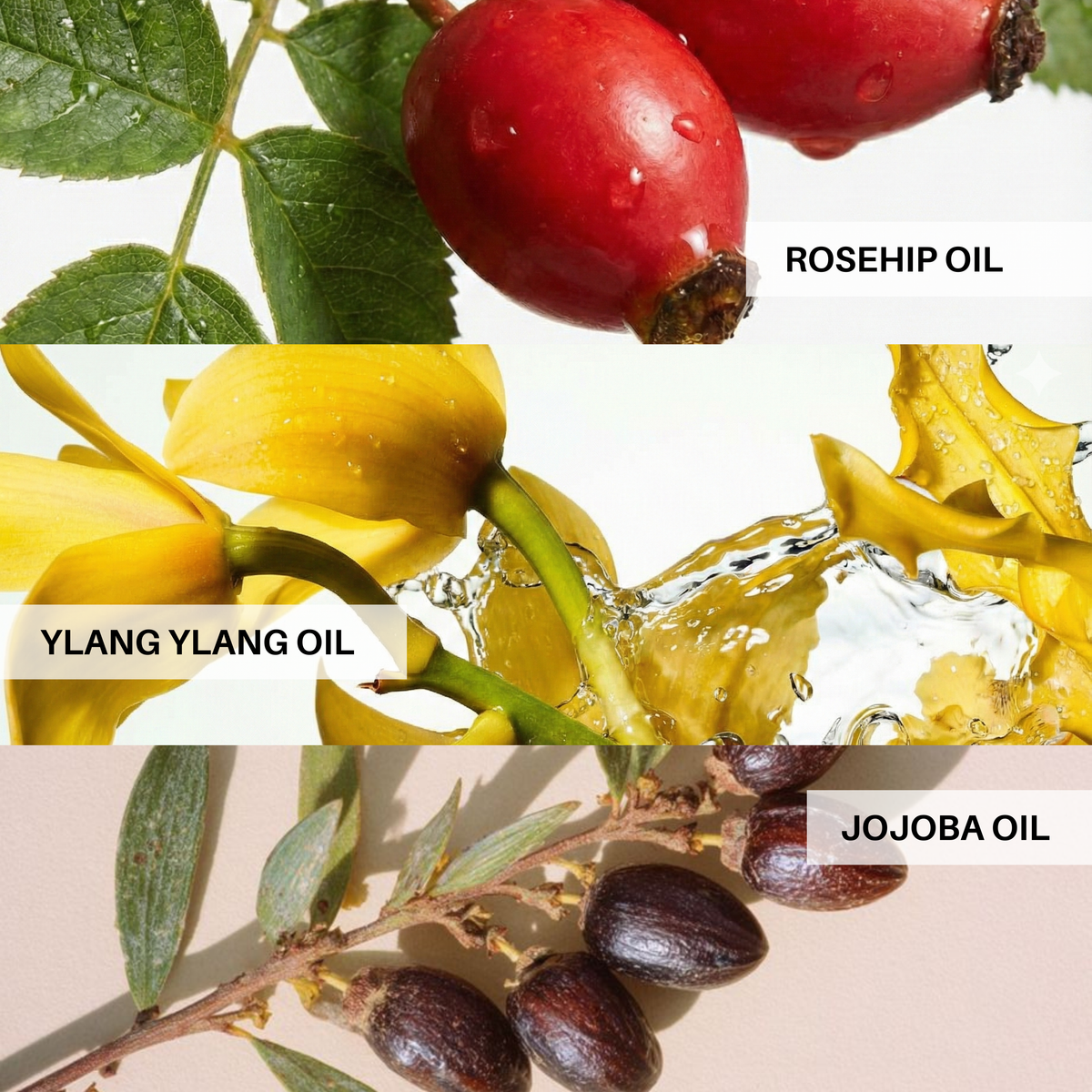 Glow & Nourish Balm