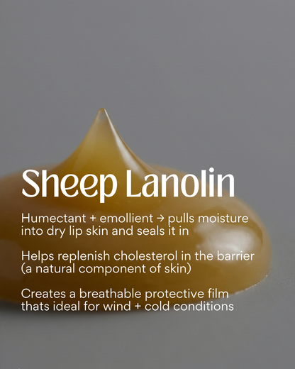 Limited Edition Peppermint Tallow Lip Balm