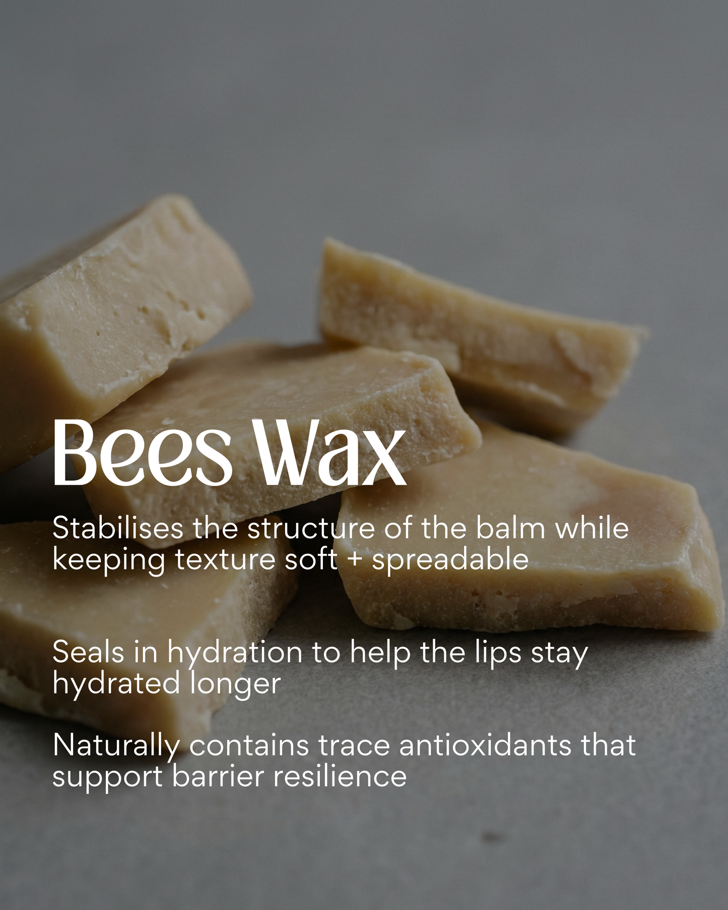 Limited Edition Peppermint Tallow Lip Balm