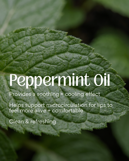 Limited Edition Peppermint Tallow Lip Balm