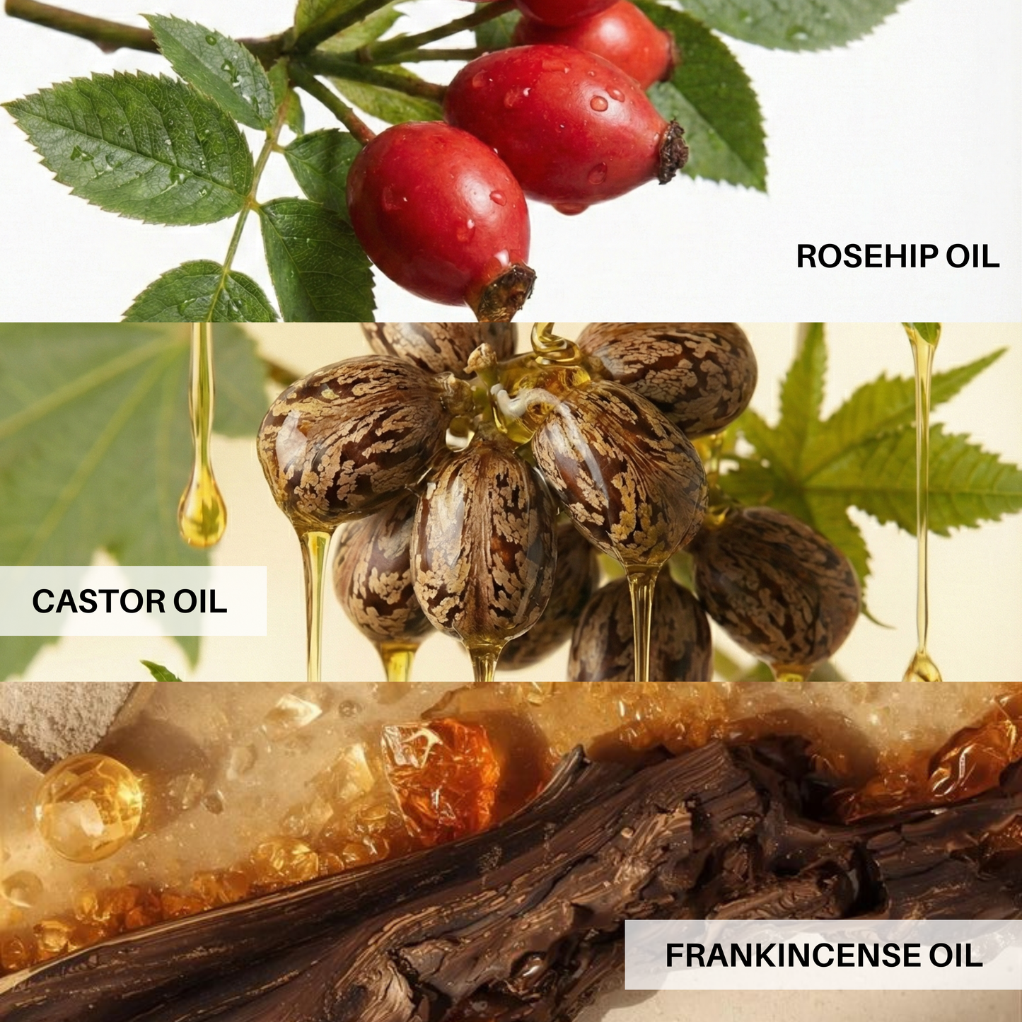 Radiant Repair Balm: 3 Month Supply Bundle (25% Off + Free 100% Tallow 40g Jar)