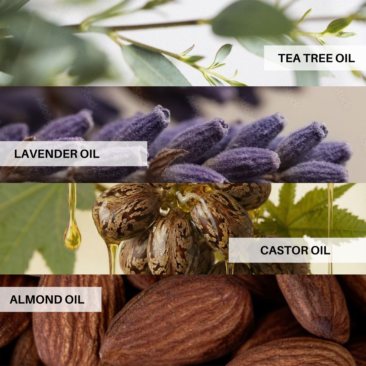 Balancing Beauty Balm